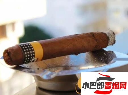 七個常見的雪茄誤區分享截圖