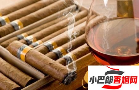 雪茄的正確品吸方法分享截圖