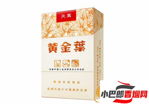 黃金葉天葉香煙價格及口感介紹截圖